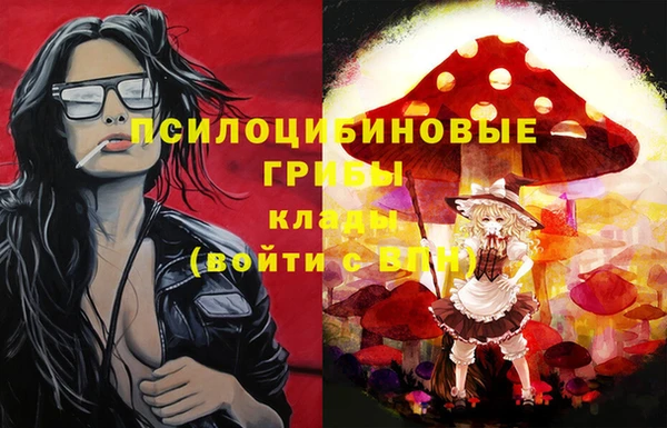 тгк Аркадак